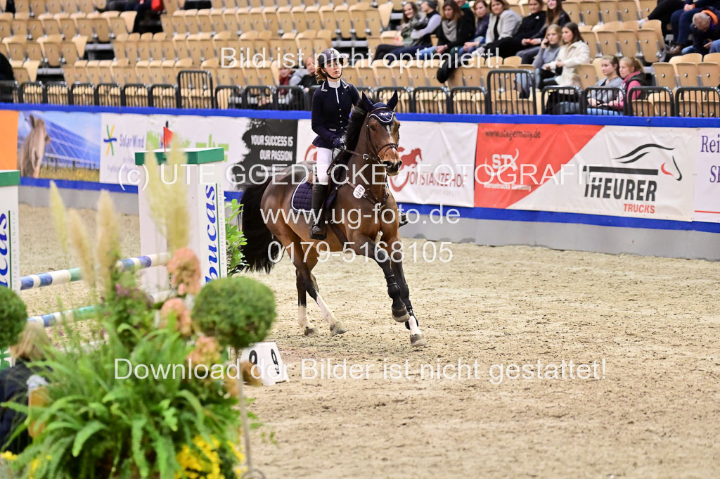 SH Holstein International 21-24.10.2021 Neumünster | Pfg 1 Bronze Tour _570
