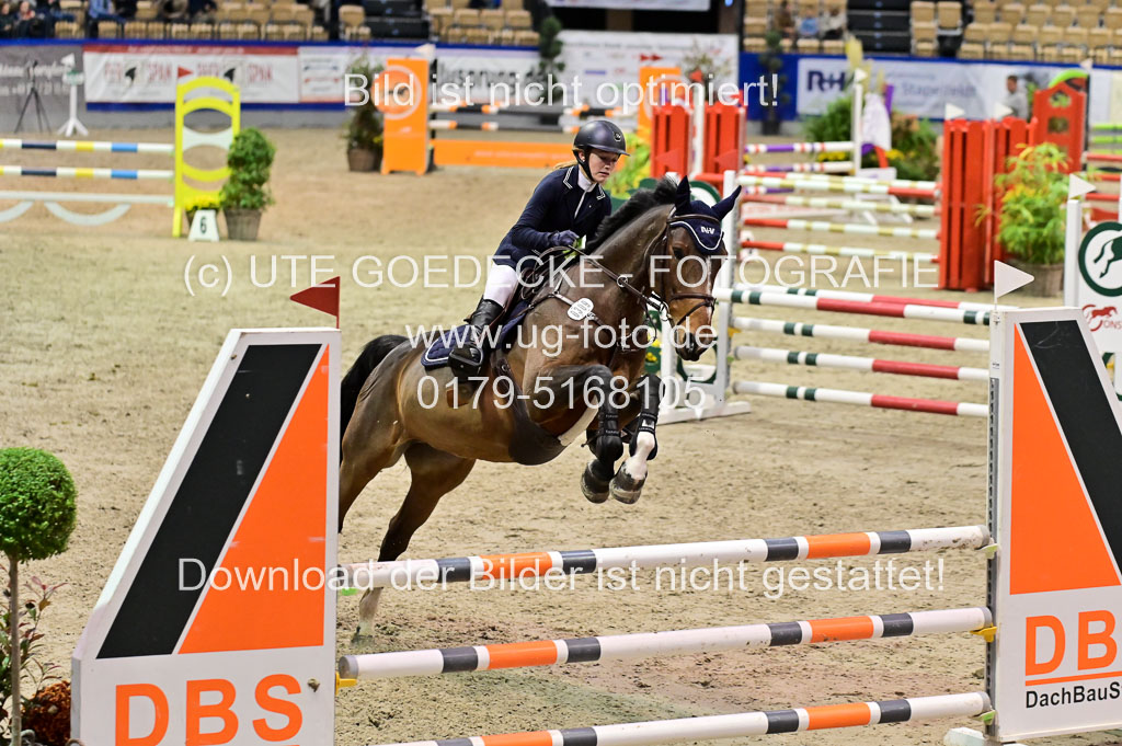 SH Holstein International 21-24.10.2021 Neumünster | Pfg 1 Bronze Tour _575