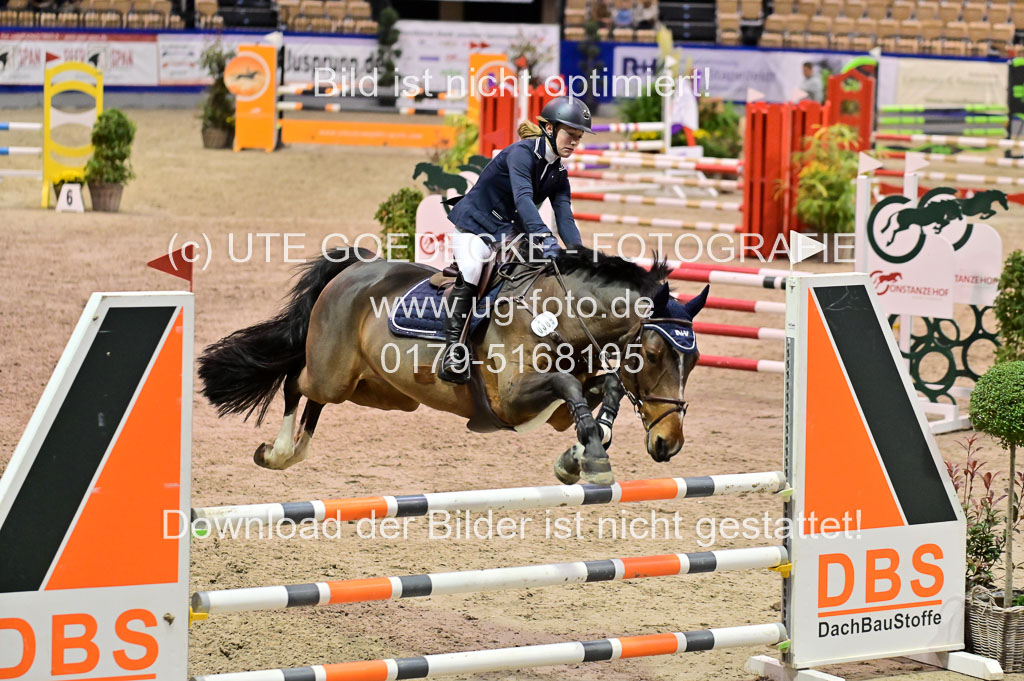 SH Holstein International 21-24.10.2021 Neumünster | Pfg 1 Bronze Tour _577