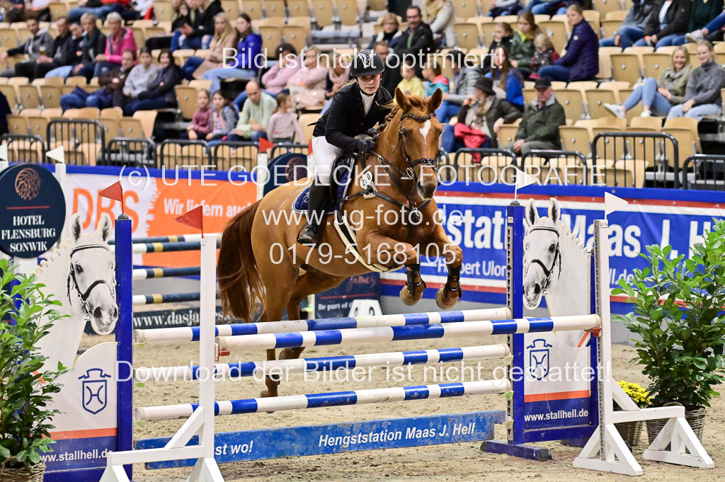 SH Holstein International 21-24.10.2021 Neumünster | Pfg 1 Bronze Tour _584