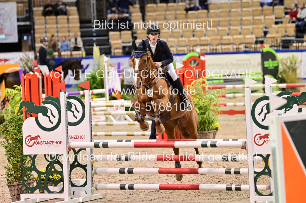 SH Holstein International 21-24.10.2021 Neumünster | Pfg 1 Bronze Tour _588