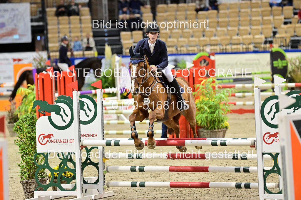 SH Holstein International 21-24.10.2021 Neumünster | Pfg 1 Bronze Tour _589
