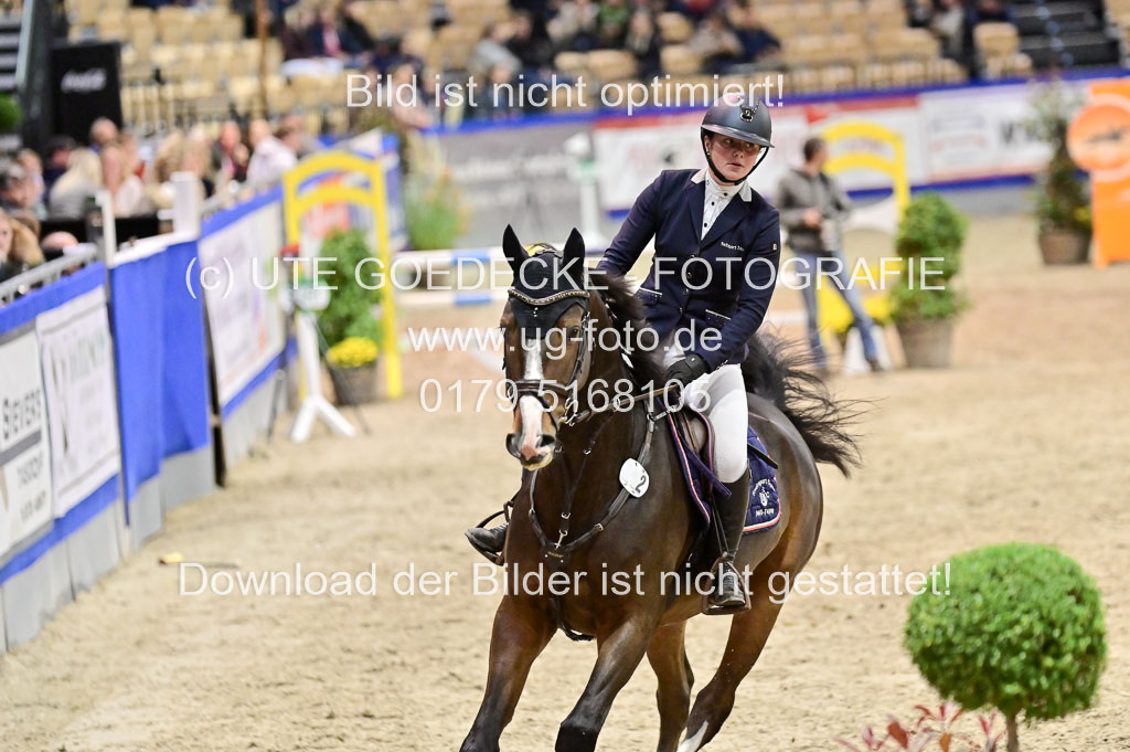 SH Holstein International 21-24.10.2021 Neumünster | Pfg 1 Bronze Tour _599