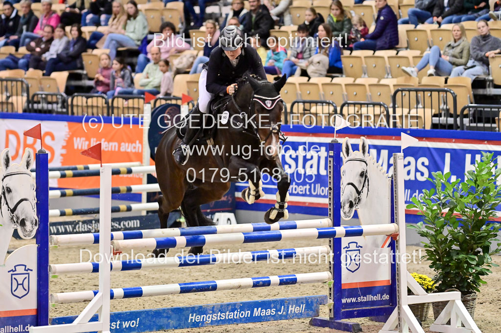 SH Holstein International 21-24.10.2021 Neumünster | Pfg 1 Bronze Tour _611