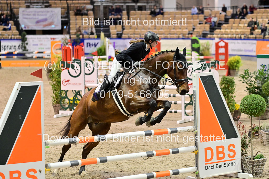 SH Holstein International 21-24.10.2021 Neumünster | Pfg 1 Bronze Tour _629