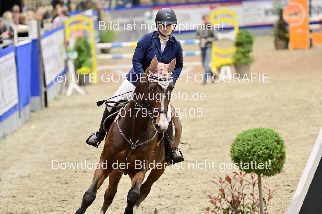 SH Holstein International 21-24.10.2021 Neumünster | Pfg 1 Bronze Tour _632