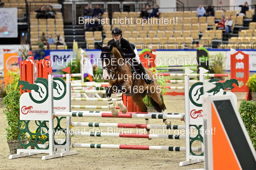 SH Holstein International  21-24.10.2021 Neumünster | Pfg 1 Bronze Tour _640 