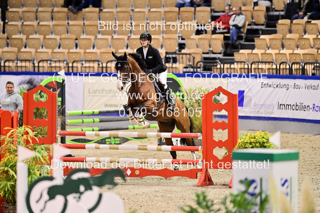 SH Holstein International 21-24.10.2021 Neumünster | Pfg 1 Bronze Tour _644