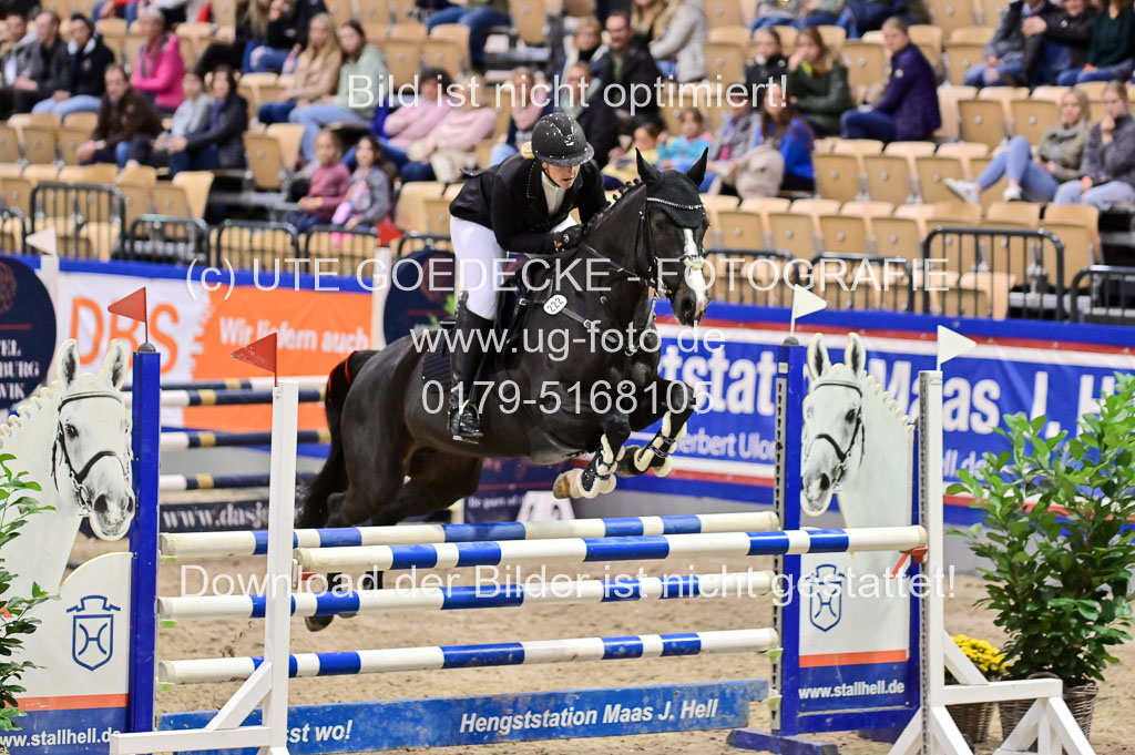 SH Holstein International  21-24.10.2021 Neumünster | Pfg 1 Bronze Tour _650 