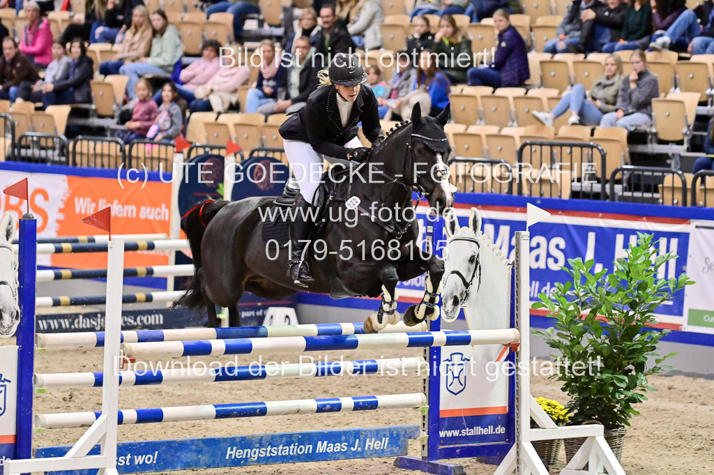 SH Holstein International  21-24.10.2021 Neumünster | Pfg 1 Bronze Tour _651 