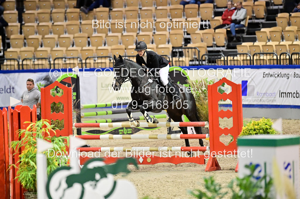 SH Holstein International  21-24.10.2021 Neumünster | Pfg 1 Bronze Tour _653 