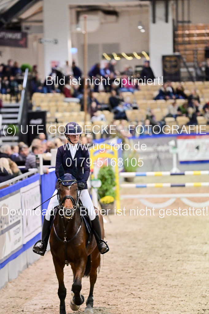SH Holstein International 21-24.10.2021 Neumünster | Pfg 1 Bronze Tour _657