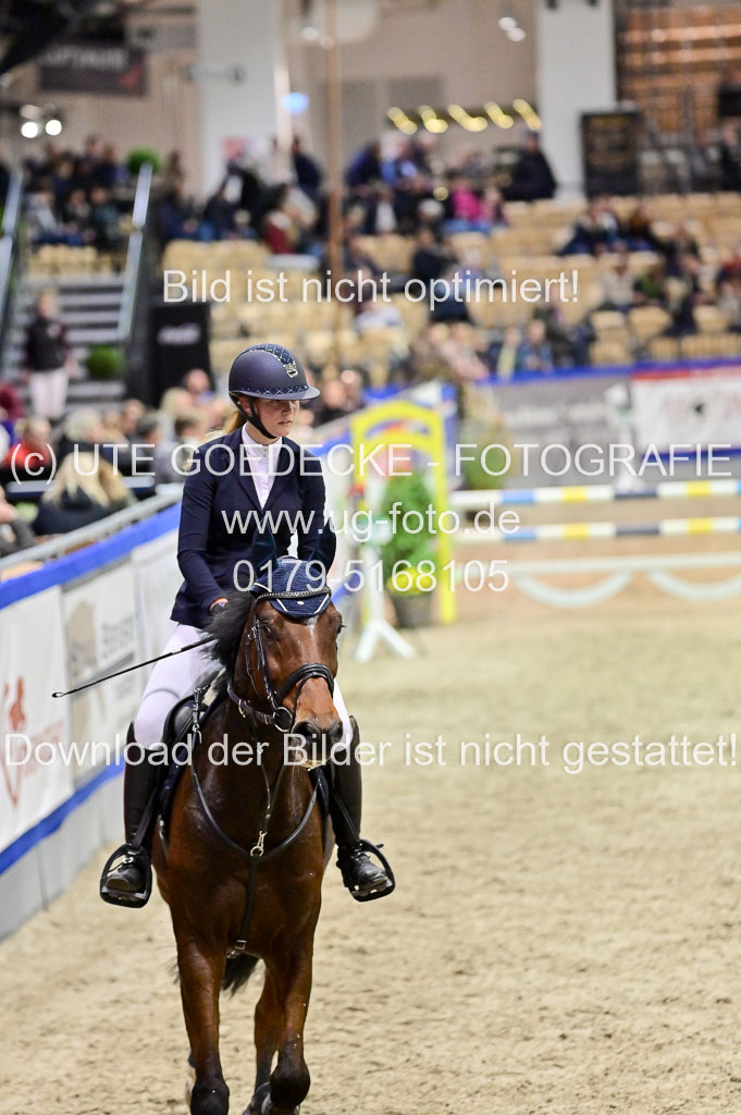 SH Holstein International 21-24.10.2021 Neumünster | Pfg 1 Bronze Tour _658
