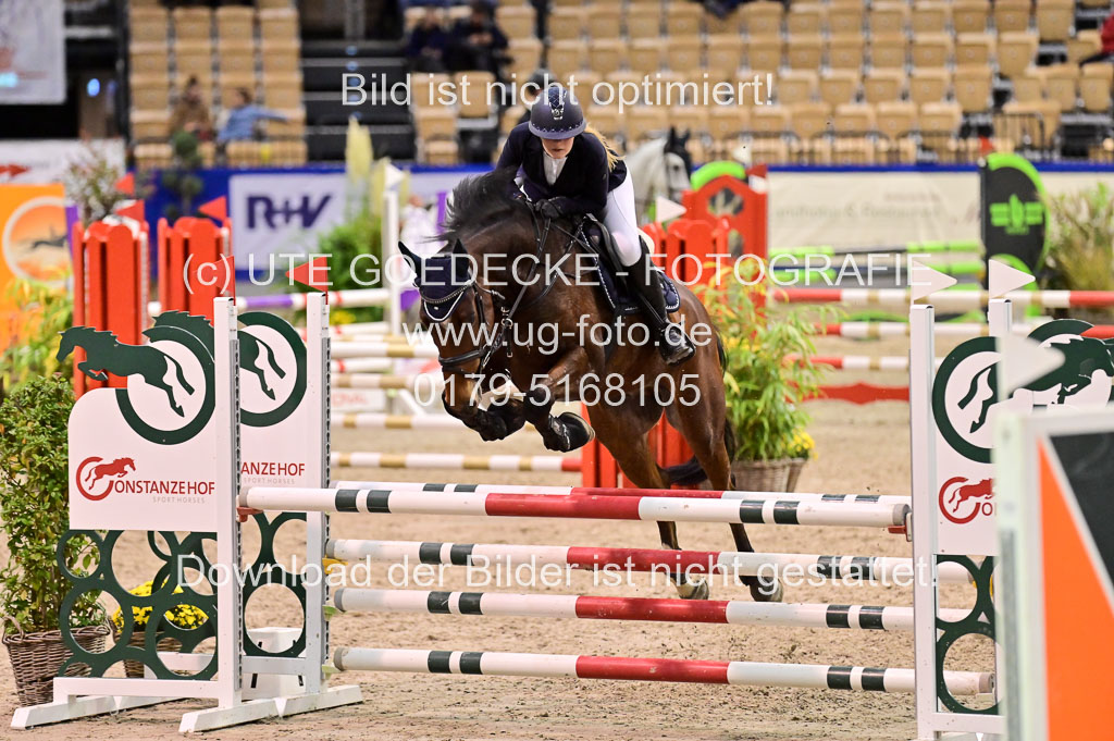 SH Holstein International 21-24.10.2021 Neumünster | Pfg 1 Bronze Tour _661