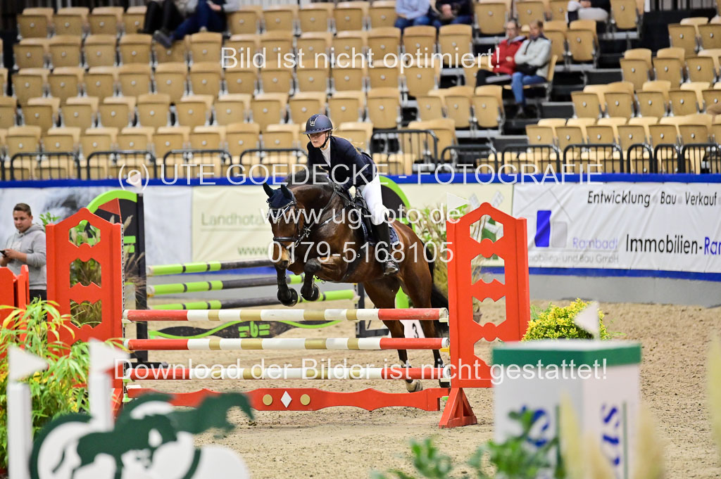 SH Holstein International 21-24.10.2021 Neumünster | Pfg 1 Bronze Tour _669