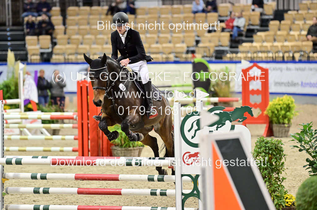 SH Holstein International 21-24.10.2021 Neumünster | Pfg 1 Bronze Tour _681