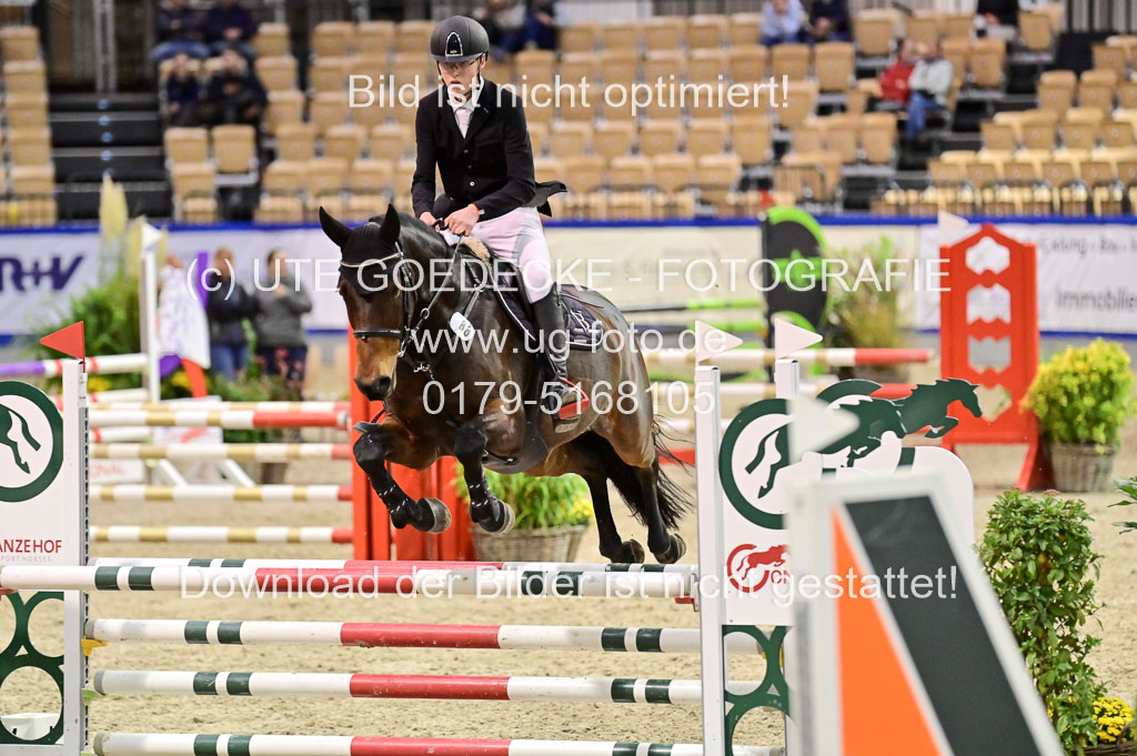 SH Holstein International 21-24.10.2021 Neumünster | Pfg 1 Bronze Tour _682