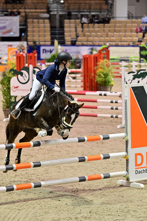 SH Holstein International  21-24.10.2021 Neumünster | Pfg 1 Bronze Tour _016 