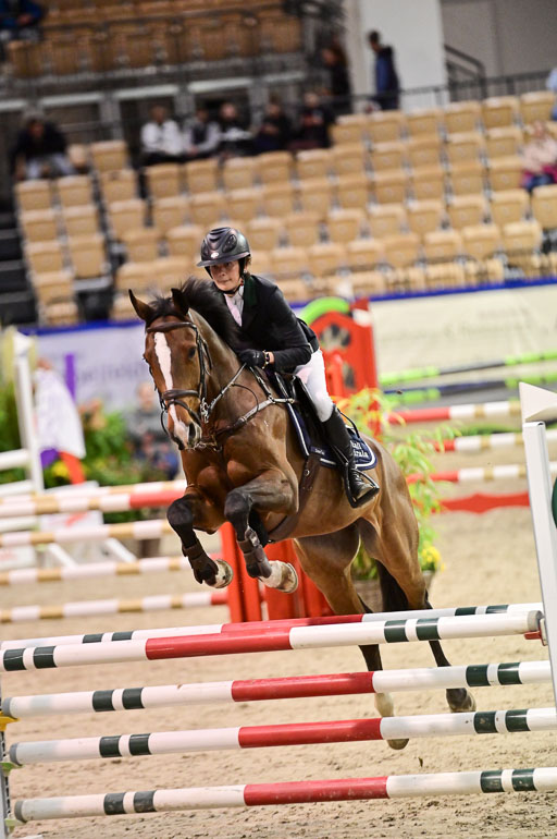 SH Holstein International  21-24.10.2021 Neumünster | Pfg 1 Bronze Tour _019 