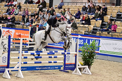 SH Holstein International  21-24.10.2021 Neumünster | Pfg 1 Bronze Tour _027 