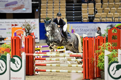 SH Holstein International  21-24.10.2021 Neumünster | Pfg 1 Bronze Tour _058 