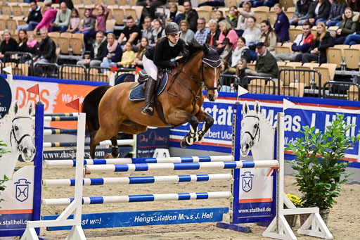 SH Holstein International  21-24.10.2021 Neumünster | Pfg 1 Bronze Tour _063 