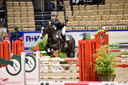 SH Holstein International  21-24.10.2021 Neumünster | Pfg 1 Bronze Tour _103 
