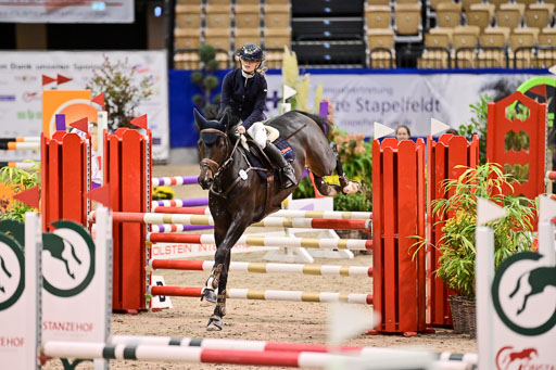 SH Holstein International  21-24.10.2021 Neumünster | Pfg 1 Bronze Tour _110 