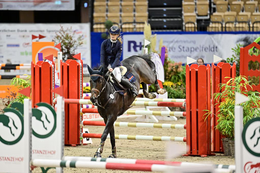 SH Holstein International  21-24.10.2021 Neumünster | Pfg 1 Bronze Tour _111 