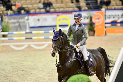 SH Holstein International  21-24.10.2021 Neumünster | Pfg 1 Bronze Tour _136 