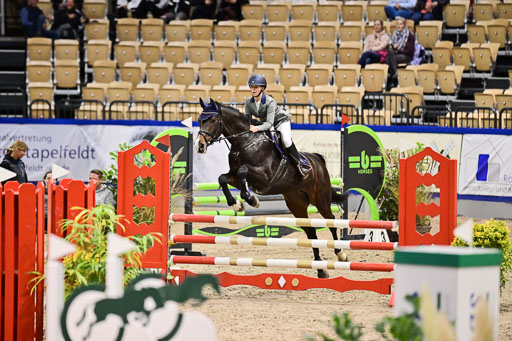 SH Holstein International  21-24.10.2021 Neumünster | Pfg 1 Bronze Tour _141 