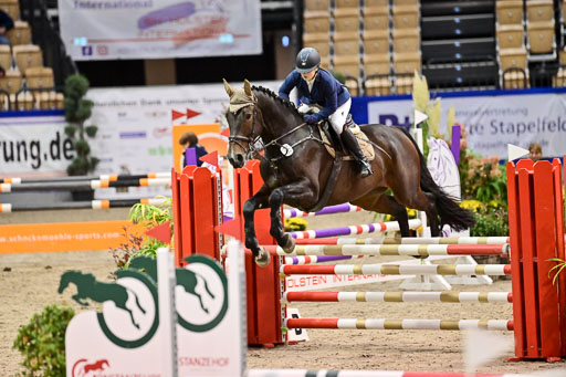 SH Holstein International  21-24.10.2021 Neumünster | Pfg 1 Bronze Tour _164 