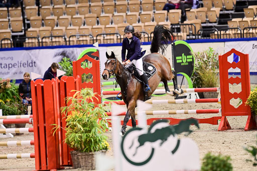 SH Holstein International  21-24.10.2021 Neumünster | Pfg 1 Bronze Tour _171 