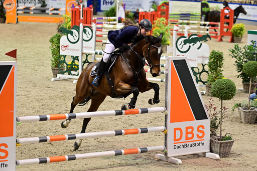 SH Holstein International  21-24.10.2021 Neumünster | Pfg 1 Bronze Tour _175 