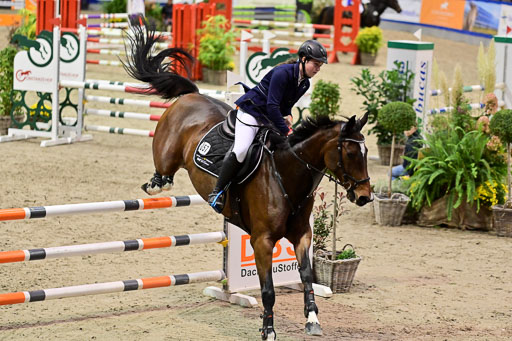 SH Holstein International  21-24.10.2021 Neumünster | Pfg 1 Bronze Tour _176 