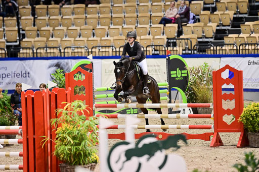 SH Holstein International  21-24.10.2021 Neumünster | Pfg 1 Bronze Tour _179 