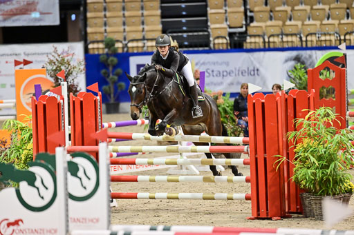 SH Holstein International  21-24.10.2021 Neumünster | Pfg 1 Bronze Tour _180 