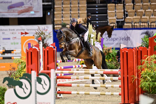 SH Holstein International  21-24.10.2021 Neumünster | Pfg 1 Bronze Tour _201 