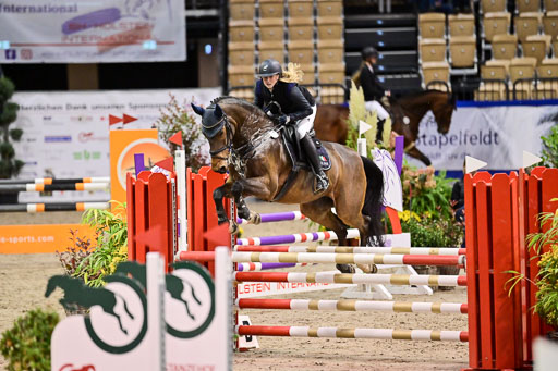 SH Holstein International  21-24.10.2021 Neumünster | Pfg 1 Bronze Tour _202 