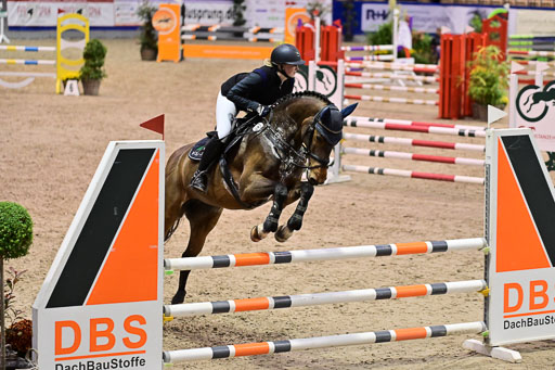 SH Holstein International  21-24.10.2021 Neumünster | Pfg 1 Bronze Tour _203 