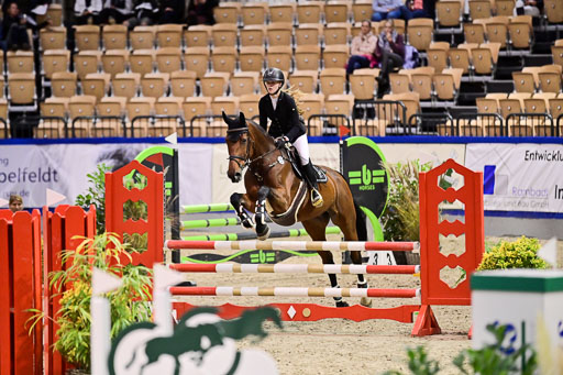 SH Holstein International  21-24.10.2021 Neumünster | Pfg 1 Bronze Tour _209 