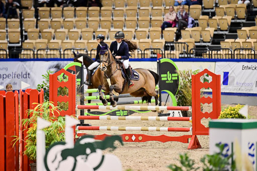 SH Holstein International  21-24.10.2021 Neumünster | Pfg 1 Bronze Tour _223 