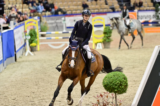 SH Holstein International  21-24.10.2021 Neumünster | Pfg 1 Bronze Tour _230 