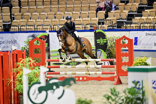 SH Holstein International  21-24.10.2021 Neumünster | Pfg 1 Bronze Tour _235 