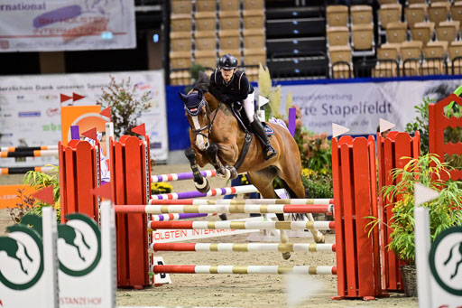 SH Holstein International  21-24.10.2021 Neumünster | Pfg 1 Bronze Tour _236 