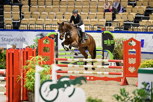 SH Holstein International  21-24.10.2021 Neumünster | Pfg 1 Bronze Tour _268 