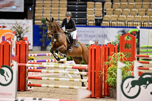 SH Holstein International  21-24.10.2021 Neumünster | Pfg 1 Bronze Tour _269 