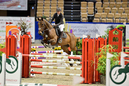 SH Holstein International  21-24.10.2021 Neumünster | Pfg 1 Bronze Tour _270 