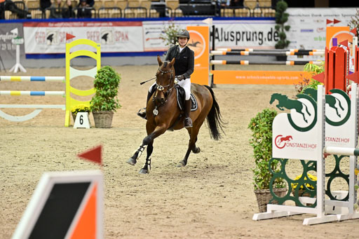 SH Holstein International  21-24.10.2021 Neumünster | Pfg 1 Bronze Tour _272 