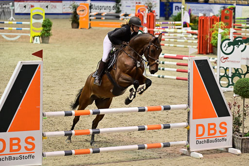 SH Holstein International  21-24.10.2021 Neumünster | Pfg 1 Bronze Tour _273 